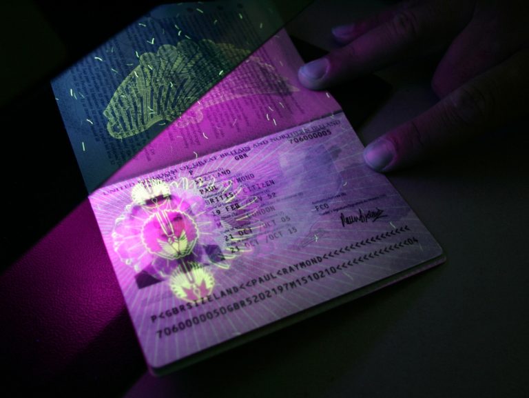 Sweden plans to develop a digital coronavirus passport