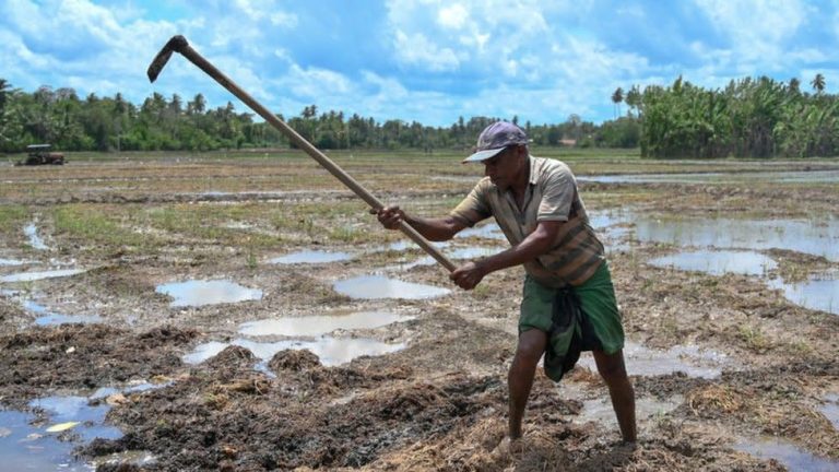 Sri Lanka gives government workers an extra day off a week