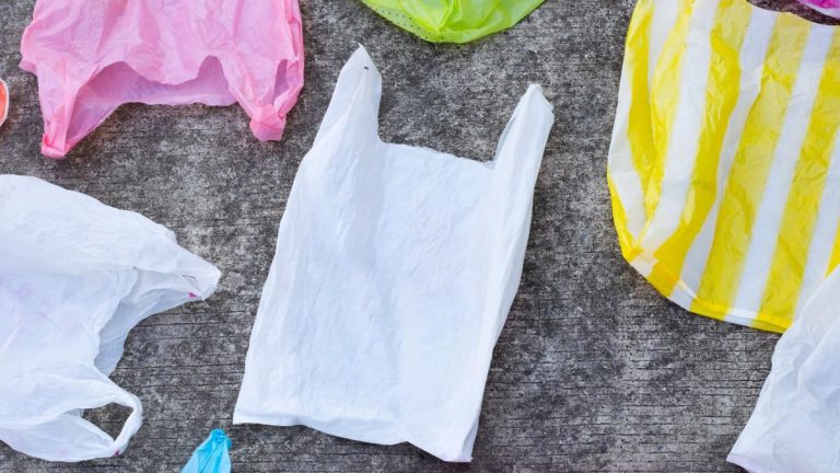 Using single-use plastic bags has decreased by 20% since the 10p charge
