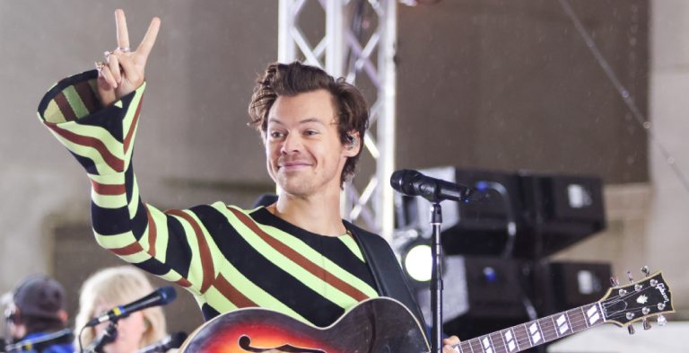 Harry Styles plays closeted gay in film ‘Mr Policeman’