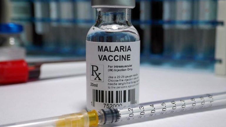 <strong>WHO recommends an affordable Oxford malaria vaccine for widespread use</strong>.