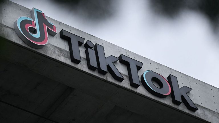 TikTok to start appeal process to avoid US sale or ban
